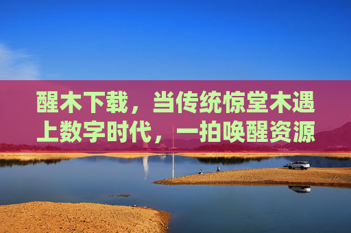 醒木下载,当传统惊堂木遇上数字时代,一拍唤醒资源新体验,醒木下载,惊堂木拍响数字资源新体验 醒木下载,当传统惊堂木遇上数字时代,一拍唤醒资源新体验,醒木下载,惊堂木拍响数字资源新体验