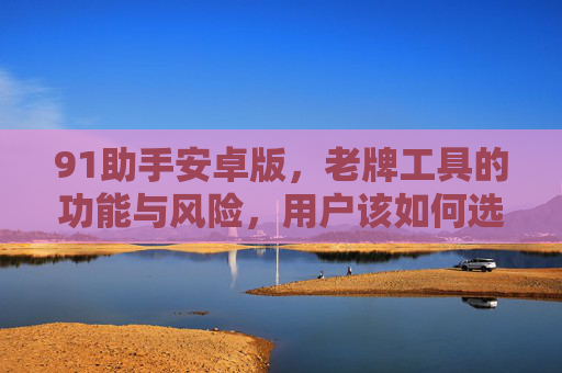 91助手安卓版,老牌工具的功能与风险,用户该如何选择?91助手安卓版,老牌工具的功能风险与用户选择 91助手安卓版,老牌工具的功能与风险,用户该如何选择?91助手安卓版,老牌工具的功能风险与用户选择