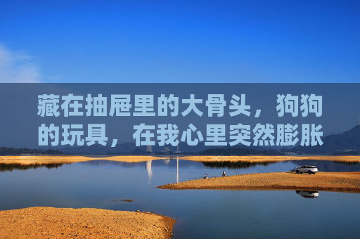 藏在抽屉里的大骨头,狗狗的玩具,在我心里突然膨胀了,抽屉里的大骨头,在我心里突然膨胀成爱的形状 藏在抽屉里的大骨头,狗狗的玩具,在我心里突然膨胀了,抽屉里的大骨头,在我心里突然膨胀成爱的形状