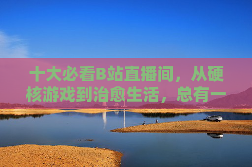 十大必看B站直播间，从硬核游戏到治愈生活，总有一款戳中你！B站十大必看直播间，硬核游戏到治愈生活，总有一款戳中你！
