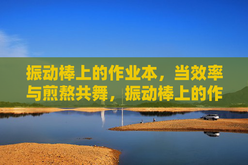 振动棒上的作业本，当效率与煎熬共舞，振动棒上的作业本，效率与煎熬共舞