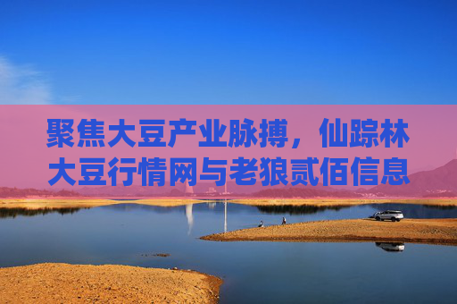 聚焦大豆产业脉搏,仙踪林大豆行情网与老狼贰佰信息网的双平台价值解析,仙踪林与老狼贰佰双平台,大豆产业脉搏价值解析 聚焦大豆产业脉搏,仙踪林大豆行情网与老狼贰佰信息网的双平台价值解析,仙踪林与老狼贰佰双平台,大豆产业脉搏价值解析