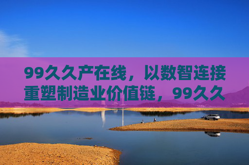 99久久产在线，以数智连接重塑制造业价值链，99久久产在线，以数智连接重塑制造业价值链