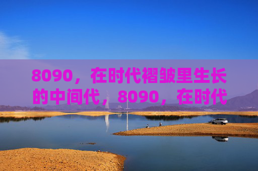 8090，在时代褶皱里生长的中间代，8090，在时代褶皱里生长的中间代