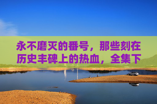 永不磨灭的番号，那些刻在历史丰碑上的热血，全集下载指南与情怀回溯，永不磨灭的番号，历史丰碑热血全集下载与情怀回溯