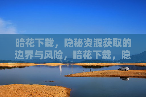 暗花下载，隐秘资源获取的边界与风险，暗花下载，隐秘资源获取的边界与风险