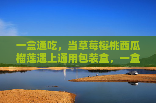 一盒通吃，当草莓樱桃西瓜榴莲遇上通用包装盒，一盒通吃，当多水果遇上通用包装盒