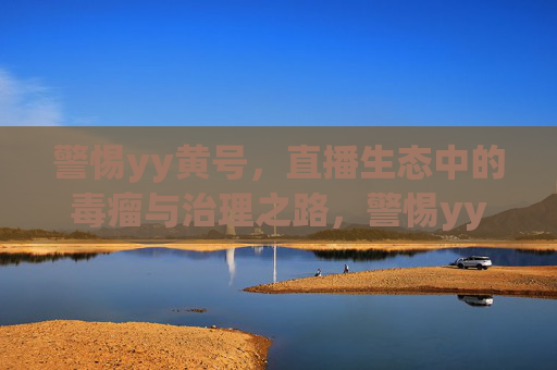 警惕yy黄号，直播生态中的毒瘤与治理之路，警惕yy黄号，直播生态的毒瘤与治理之路