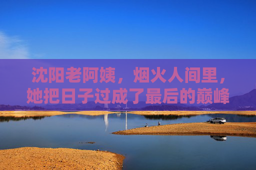 沈阳老阿姨，烟火人间里，她把日子过成了最后的巅峰，沈阳老阿姨，烟火人间里的巅峰日子