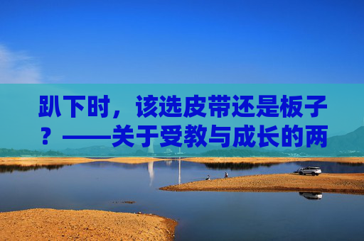 趴下时，该选皮带还是板子？——关于受教与成长的两种姿态，受教与成长的姿态之辨