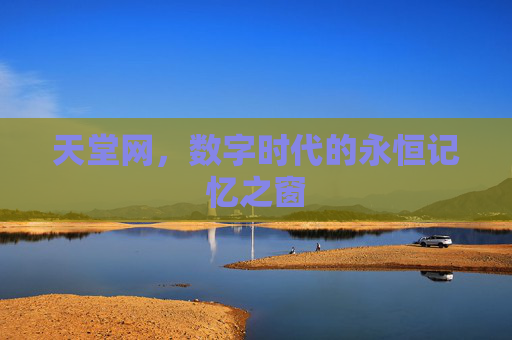 天堂网，数字时代的永恒记忆之窗