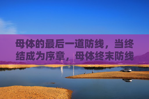 母体的最后一道防线,当终结成为序章,母体终末防线,终结即序章 母体的最后一道防线,当终结成为序章,母体终末防线,终结即序章