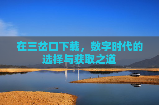 在三岔口下载，数字时代的选择与获取之道
