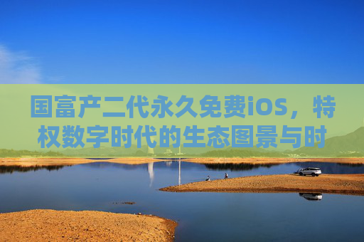 国富产二代永久免费iOS，特权数字时代的生态图景与时代叩问
