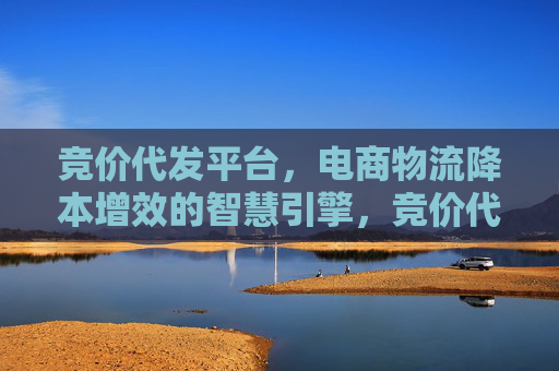 竞价代发平台,电商物流降本增效的智慧引擎,竞价代发平台,电商物流降本增效的智慧引擎 竞价代发平台,电商物流降本增效的智慧引擎,竞价代发平台,电商物流降本增效的智慧引擎