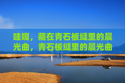 哇嘎,藏在青石板缝里的晨光曲,青石板缝里的晨光曲 哇嘎,藏在青石板缝里的晨光曲,青石板缝里的晨光曲