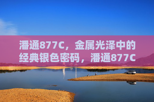 潘通877C，金属光泽中的经典银色密码，潘通877C，金属光泽经典银色密码