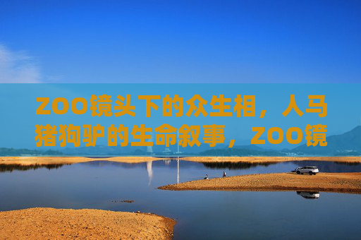 ZOO镜头下的众生相，人马猪狗驴的生命叙事，ZOO镜头下的众生生命叙事