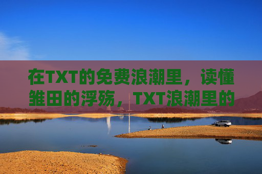 在TXT的免费浪潮里,读懂雏田的浮殇,TXT浪潮里的雏田浮殇 在TXT的免费浪潮里,读懂雏田的浮殇,TXT浪潮里的雏田浮殇