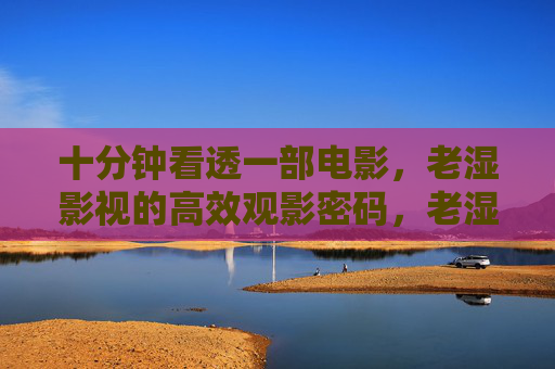十分钟看透一部电影，老湿影视的高效观影密码，老湿影视，十分钟看透电影的观影密码