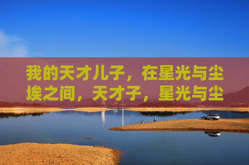 我的天才儿子，在星光与尘埃之间，天才子，星光与尘埃之间
