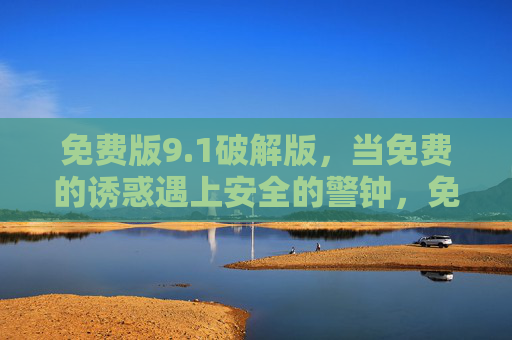 免费版9.1破解版，当免费的诱惑遇上安全的警钟，免费破解版9.1，免费诱惑VS安全警钟