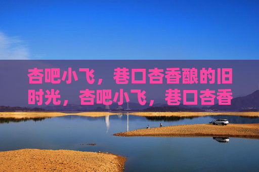 杏吧小飞，巷口杏香酿的旧时光，杏吧小飞，巷口杏香酿旧时光