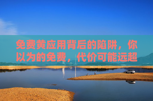 免费黄应用背后的陷阱，你以为的免费，代价可能远超想象，免费黄应用，免费陷阱，代价远超想象