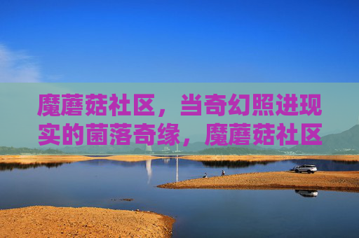 魔蘑菇社区，当奇幻照进现实的菌落奇缘，魔蘑菇社区，奇幻照进现实的菌落奇缘