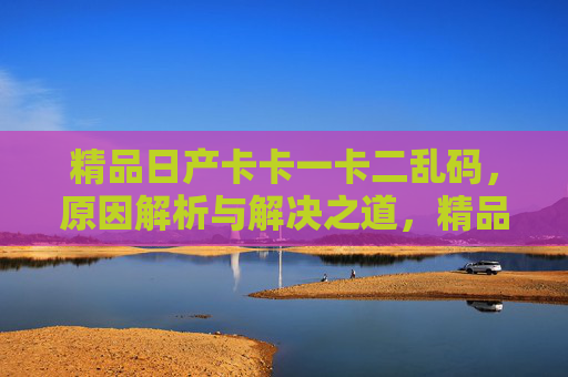 精品日产卡卡一卡二乱码，原因解析与解决之道，精品日产卡卡一卡二乱码，原因解析与解决之道