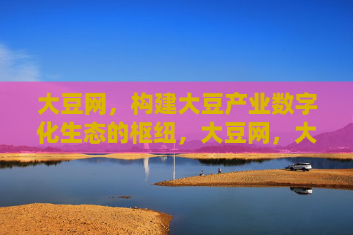 大豆网，构建大豆产业数字化生态的枢纽，大豆网，大豆产业数字化生态枢纽