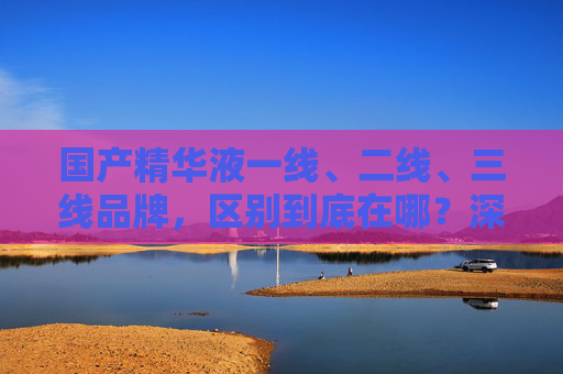 国产精华液一线、二线、三线品牌，区别到底在哪？深度解析价值与选择逻辑，国产精华液一线至三线品牌区别深度解析，价值与选择逻辑