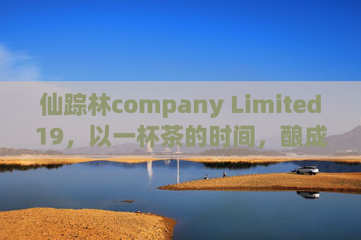 仙踪林company Limited19，以一杯茶的时间，酿成青春的味蕾记忆，一杯茶酿青春仙踪味蕾记忆