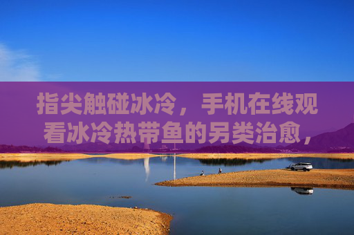 指尖触碰冰冷，手机在线观看冰冷热带鱼的另类治愈，指尖触碰冰冷，手机观热带鱼的另类治愈