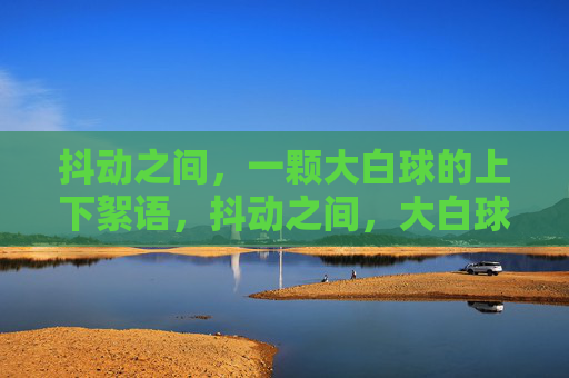抖动之间，一颗大白球的上下絮语，抖动之间，大白球的上下絮语