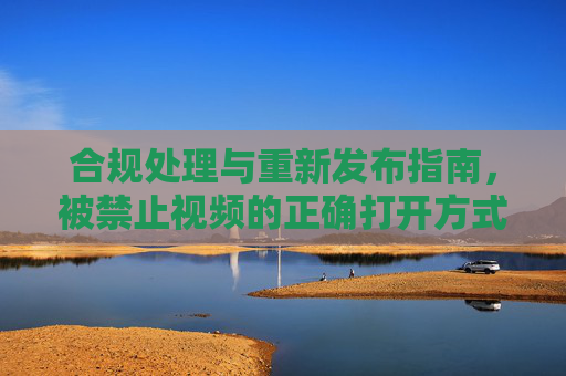合规处理与重新发布指南，被禁止视频的正确打开方式，被禁止视频合规处理与重新发布指南