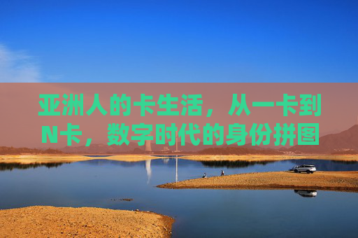 亚洲人的卡生活，从一卡到N卡，数字时代的身份拼图，从一卡到N卡，亚洲人的数字身份拼图