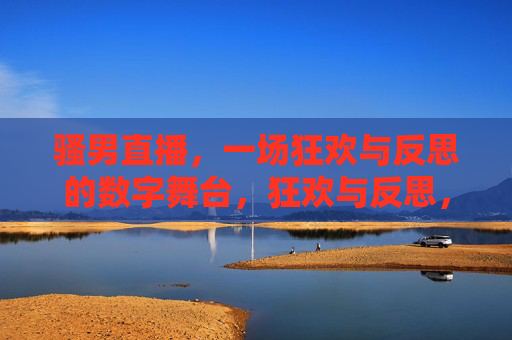 骚男直播,一场狂欢与反思的数字舞台,狂欢与反思,骚男直播的数字舞台 骚男直播,一场狂欢与反思的数字舞台,狂欢与反思,骚男直播的数字舞台