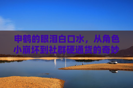 申鹤的眼泪白口水，从角色小崩坏到社群硬通货的奇妙应用之路，申鹤的眼泪白口水，从角色小崩坏到社群硬通货的奇妙应用之路