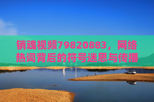销魂视频79820883，网络热词背后的符号迷思与传播逻辑，销魂视频，网络热词的符号迷思与传播逻辑