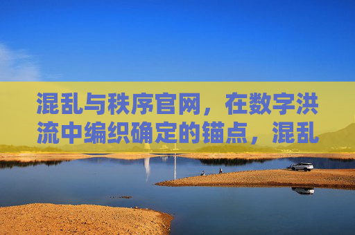 混乱与秩序官网，在数字洪流中编织确定的锚点，混乱与秩序，数字洪流中的确定锚点
