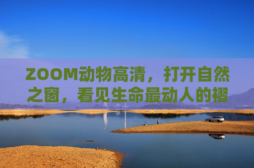 ZOOM动物高清,打开自然之窗,看见生命最动人的褶皱,ZOOM动物高清,打开自然之窗,见生命动人褶皱 ZOOM动物高清,打开自然之窗,看见生命最动人的褶皱,ZOOM动物高清,打开自然之窗,见生命动人褶皱