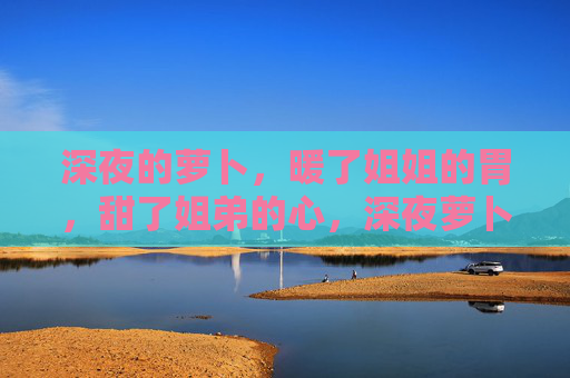 深夜的萝卜,暖了姐姐的胃,甜了姐弟的心,深夜萝卜,暖胃甜姐弟心 深夜的萝卜,暖了姐姐的胃,甜了姐弟的心,深夜萝卜,暖胃甜姐弟心