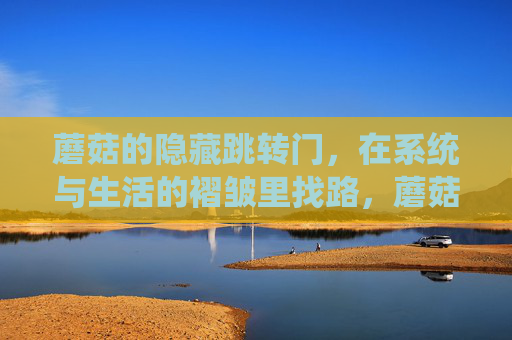 蘑菇的隐藏跳转门，在系统与生活的褶皱里找路，蘑菇跳转门，系统与生活褶皱里的寻路