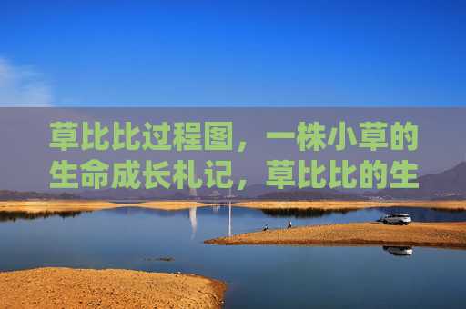 草比比过程图,一株小草的生命成长札记,草比比的生命成长札记 草比比过程图,一株小草的生命成长札记,草比比的生命成长札记