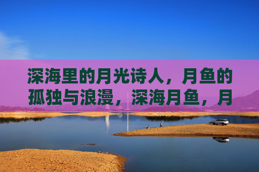 深海里的月光诗人，月鱼的孤独与浪漫，深海月鱼，月光诗人的孤独与浪漫