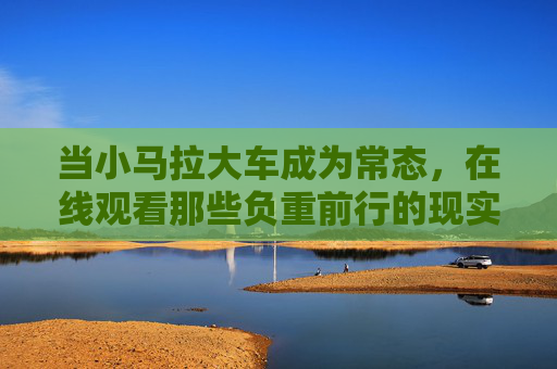 当小马拉大车成为常态,在线观看那些负重前行的现实镜像,小马拉大车,负重前行的常态镜像 当小马拉大车成为常态,在线观看那些负重前行的现实镜像,小马拉大车,负重前行的常态镜像
