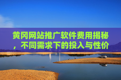黄冈网站推广软件费用揭秘，不同需求下的投入与性价比分析，黄冈网站推广软件费用揭秘，不同需求下的投入与性价比分析