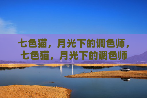 七色猫，月光下的调色师，七色猫，月光下的调色师