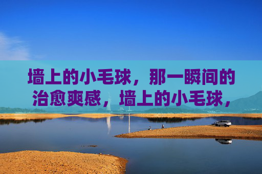 墙上的小毛球,那一瞬间的治愈爽感,墙上的小毛球,治愈爽感 墙上的小毛球,那一瞬间的治愈爽感,墙上的小毛球,治愈爽感